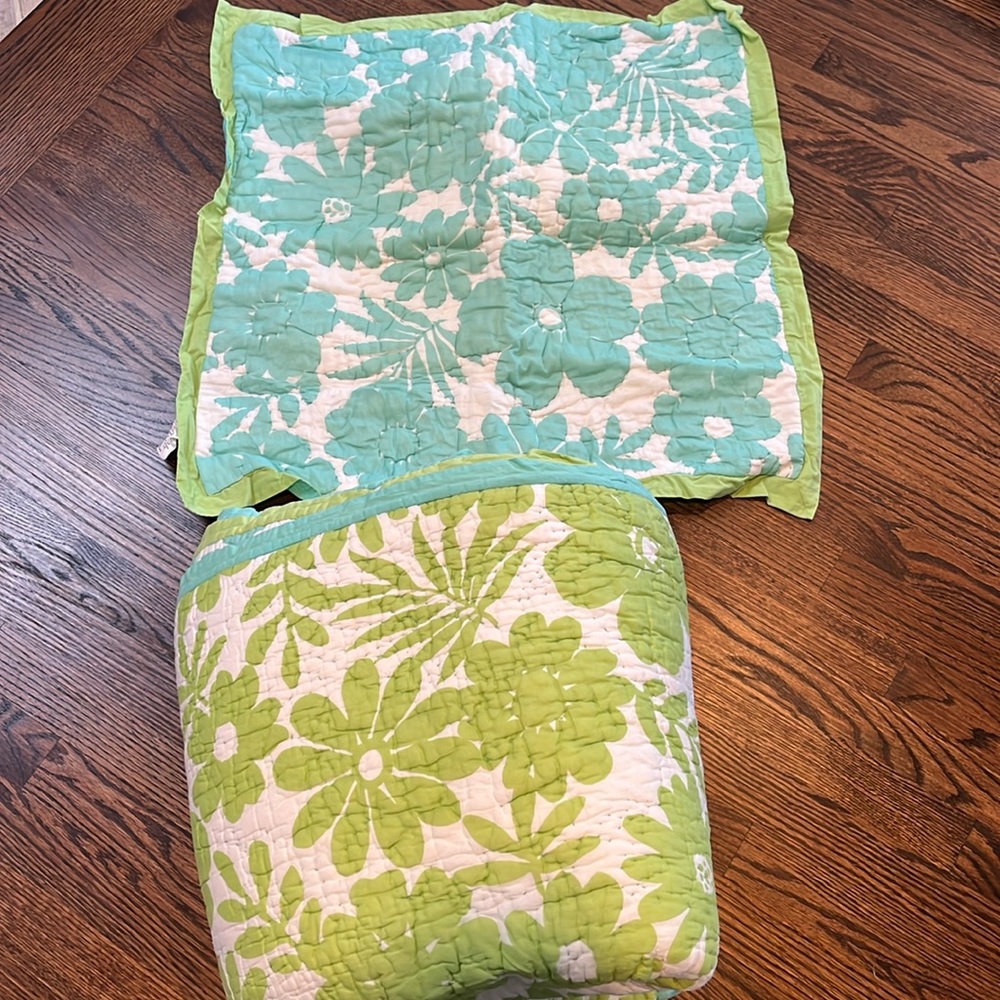PB Teen - quilted reversible  twin coverlet and euro sham set.